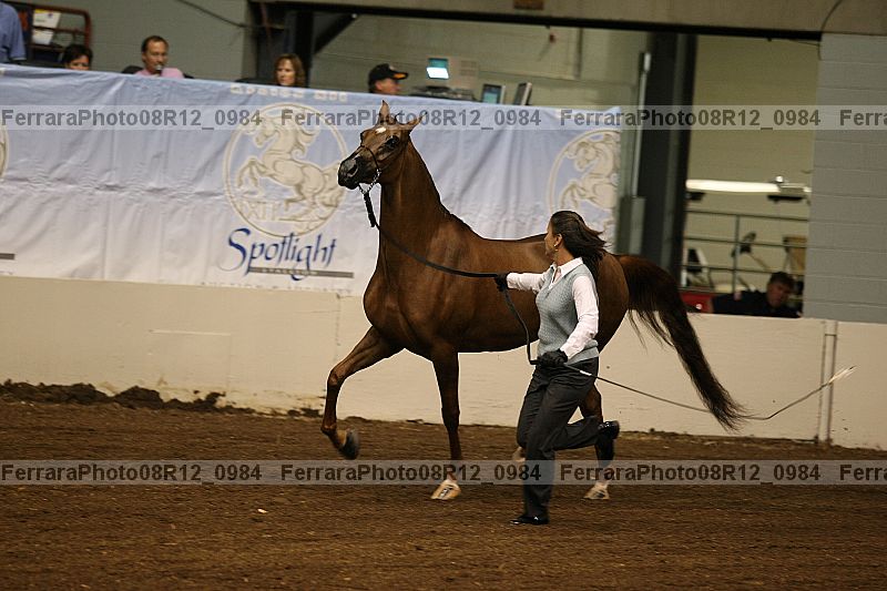 Proof 08r12_0984