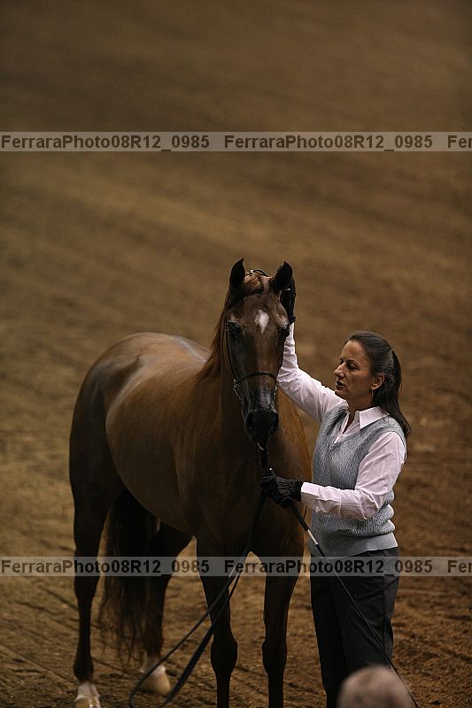 Proof 08r12_0985