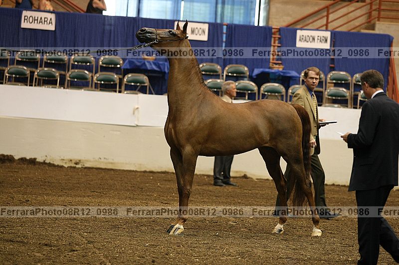 Proof 08r12_0986