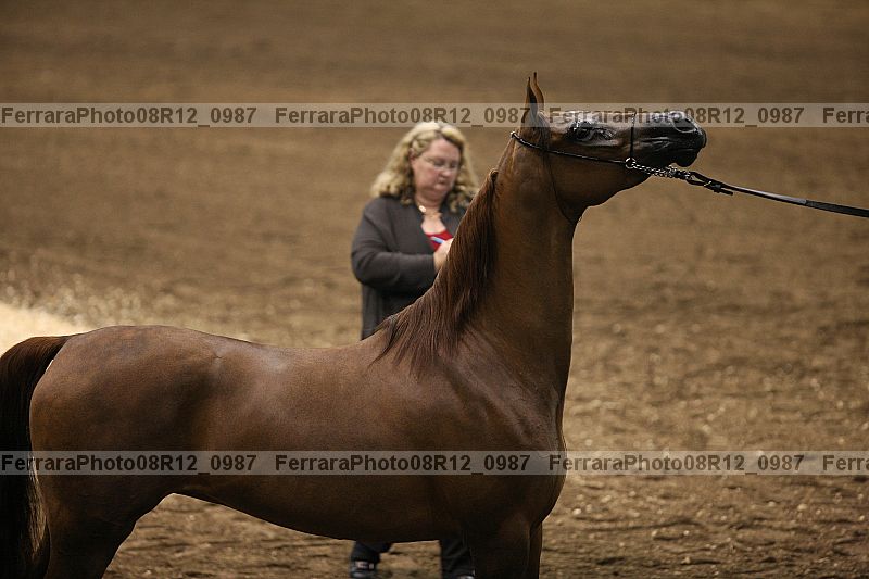 Proof 08r12_0987