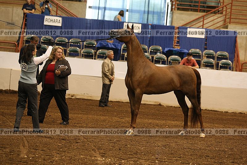 Proof 08r12_0988