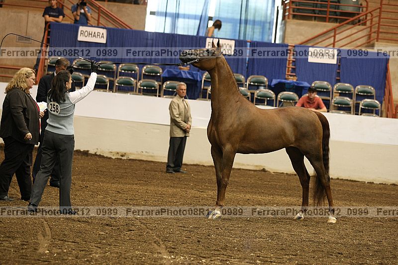 Proof 08r12_0989