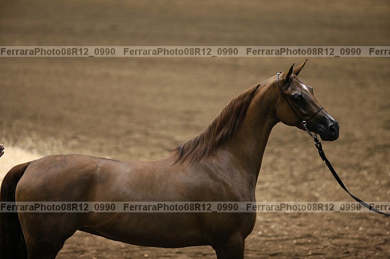Proof 08r12_0990