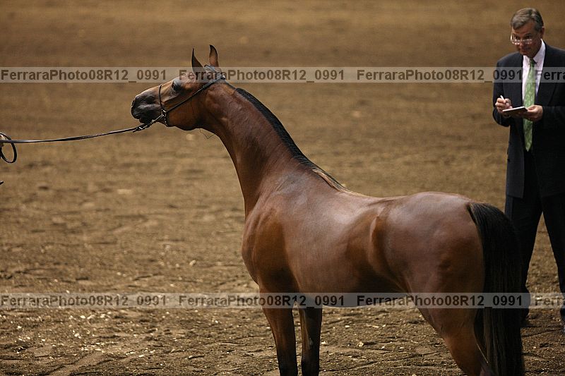 Proof 08r12_0991