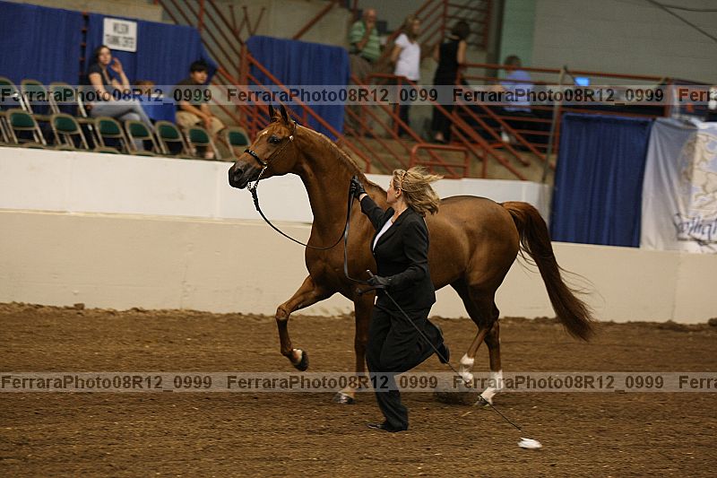 Proof 08r12_0999