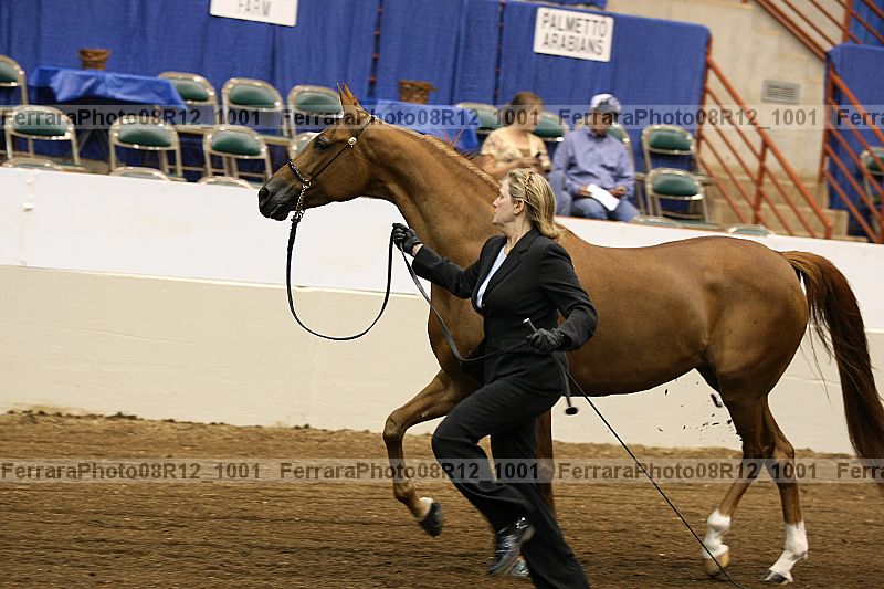 Proof 08r12_1001