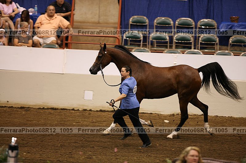 Proof 08r12_1005