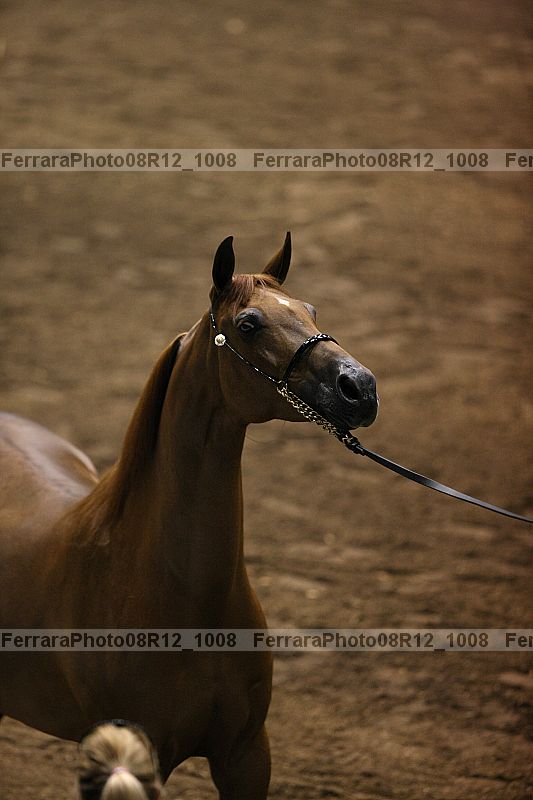 Proof 08r12_1008