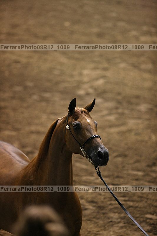 Proof 08r12_1009