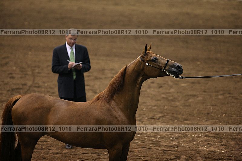Proof 08r12_1010
