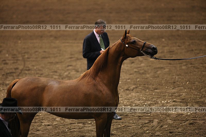 Proof 08r12_1011