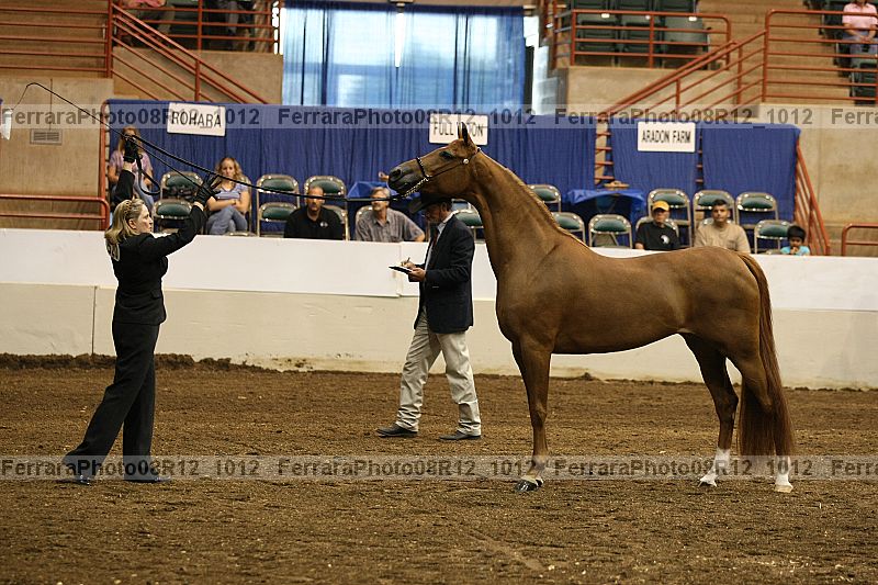 Proof 08r12_1012