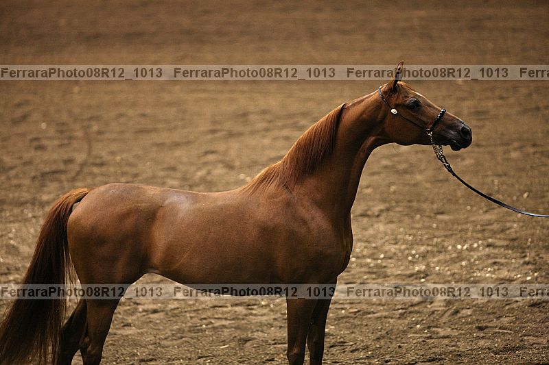 Proof 08r12_1013