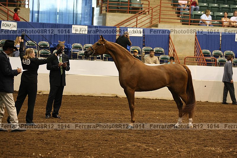 Proof 08r12_1014