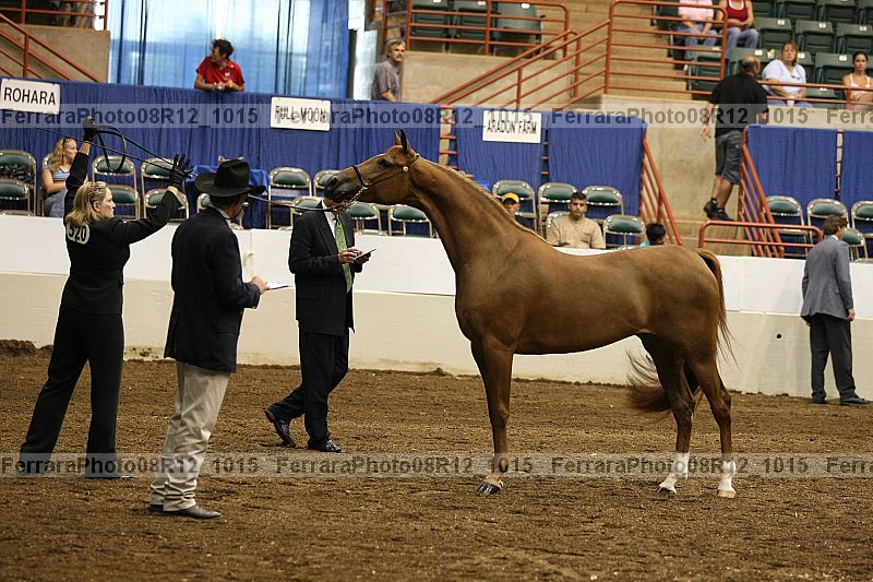 Proof 08r12_1015