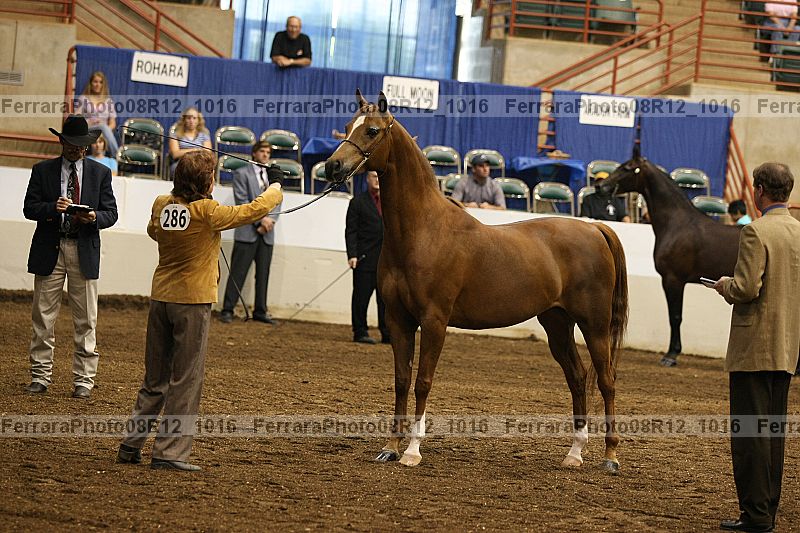 Proof 08r12_1016