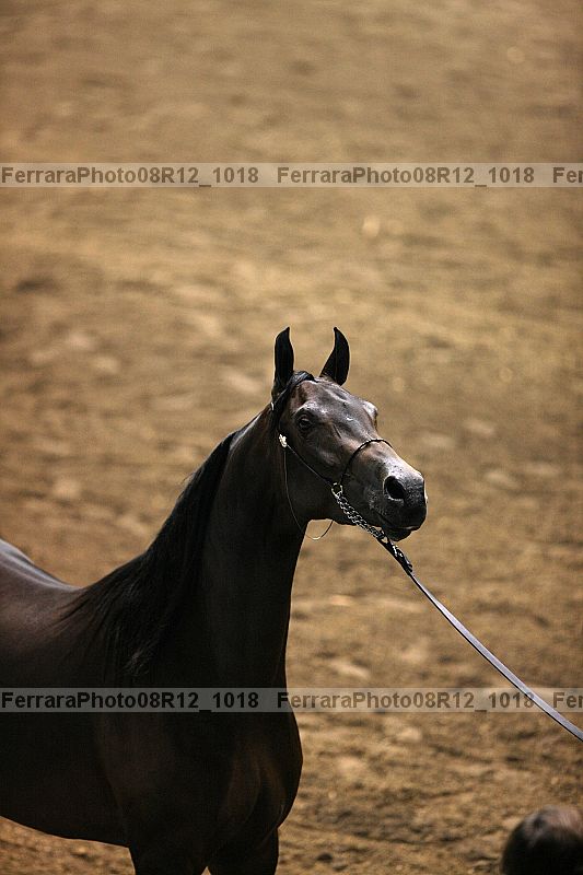 Proof 08r12_1018
