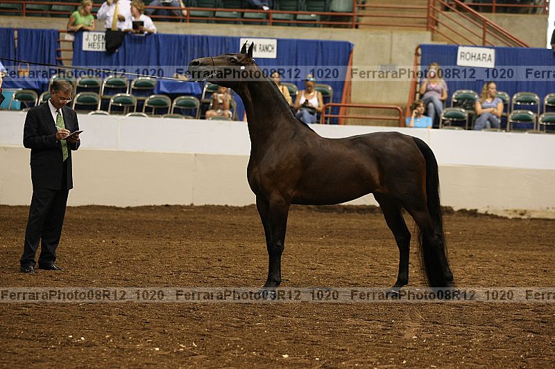Proof 08r12_1020