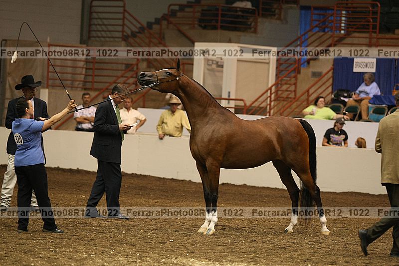 Proof 08r12_1022