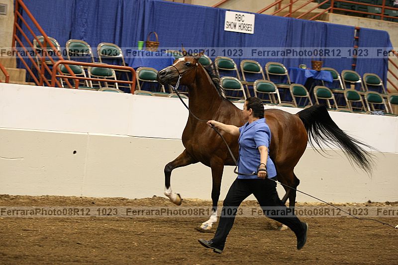 Proof 08r12_1023