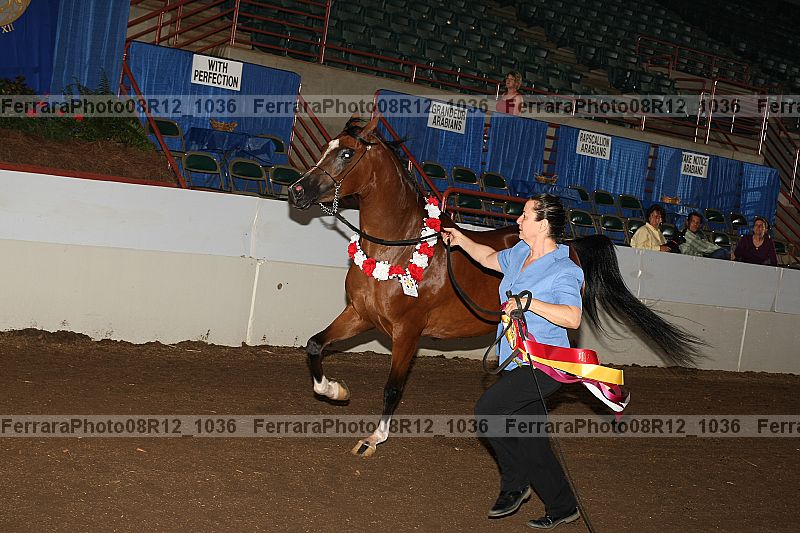 Proof 08r12_1036