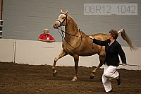 08r12_1042 proof