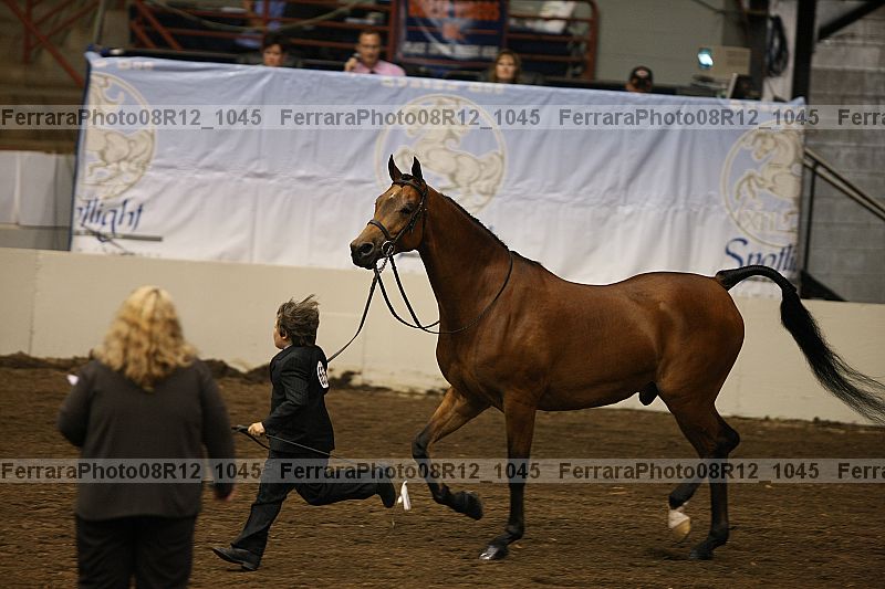 Proof 08r12_1045