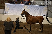 08r12_1045 proof