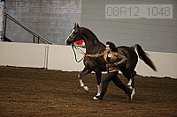 08r12_1048 proof