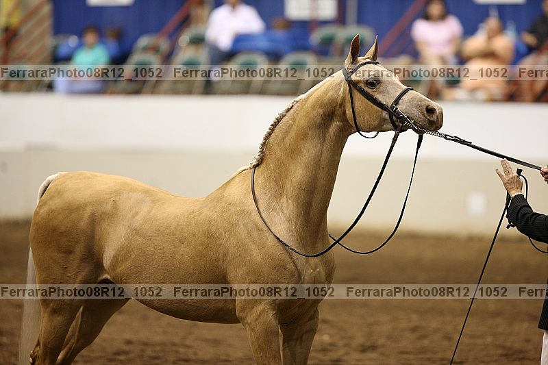 Proof 08r12_1052