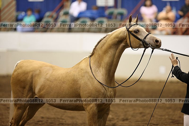 Proof 08r12_1053