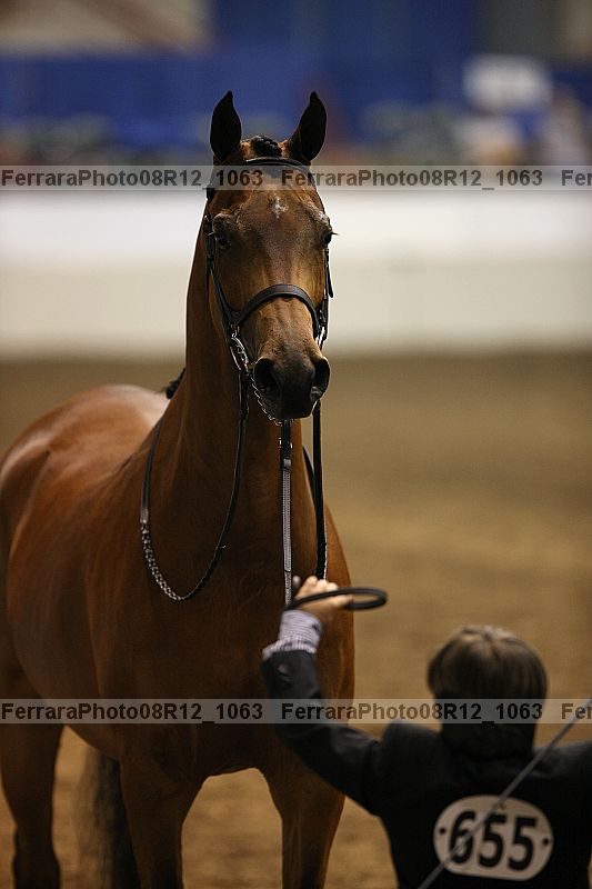 Proof 08r12_1063