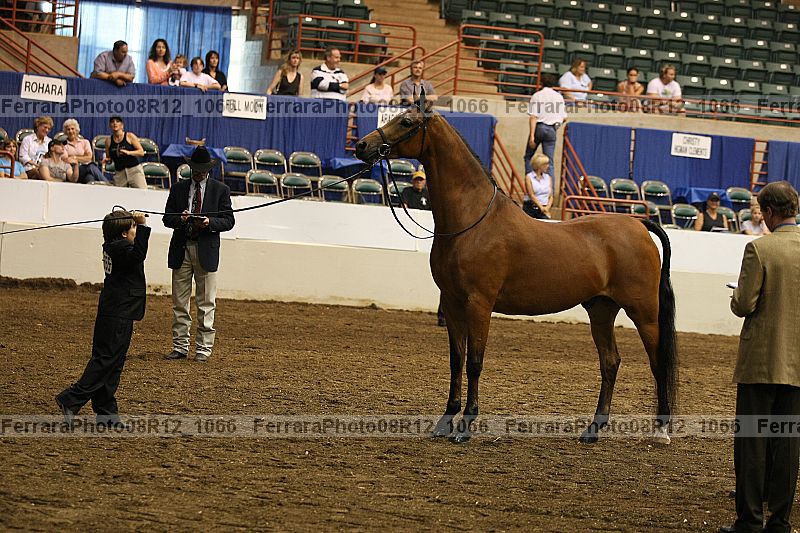 Proof 08r12_1066