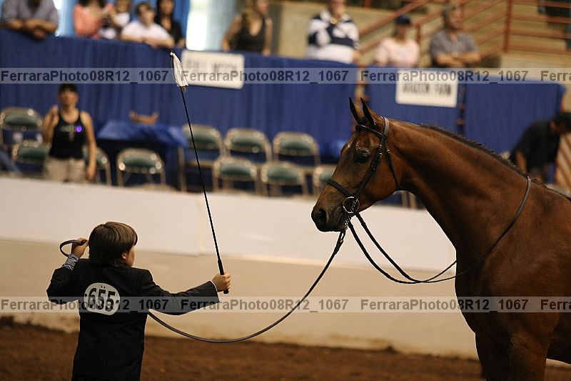 Proof 08r12_1067