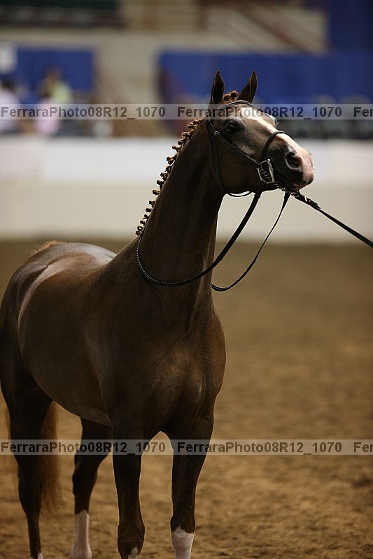 Proof 08r12_1070
