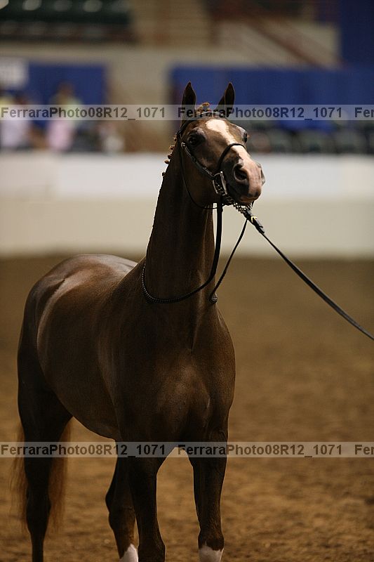 Proof 08r12_1071