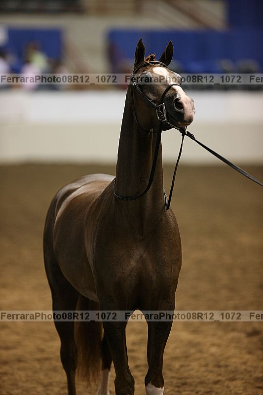 Proof 08r12_1072