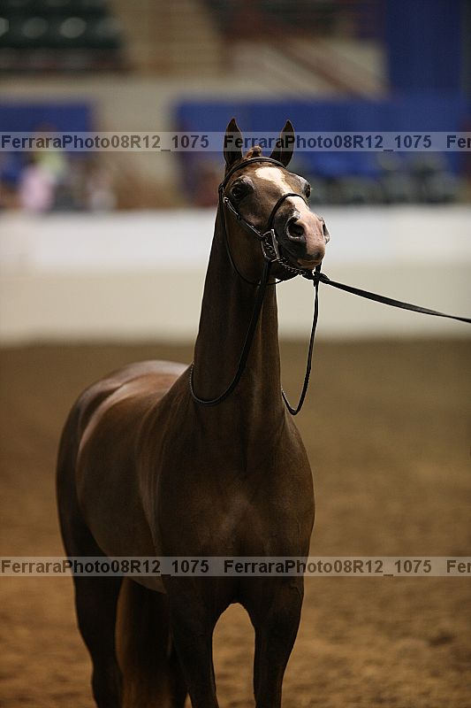 Proof 08r12_1075