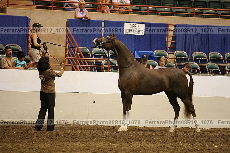 Proof 08r12_1076