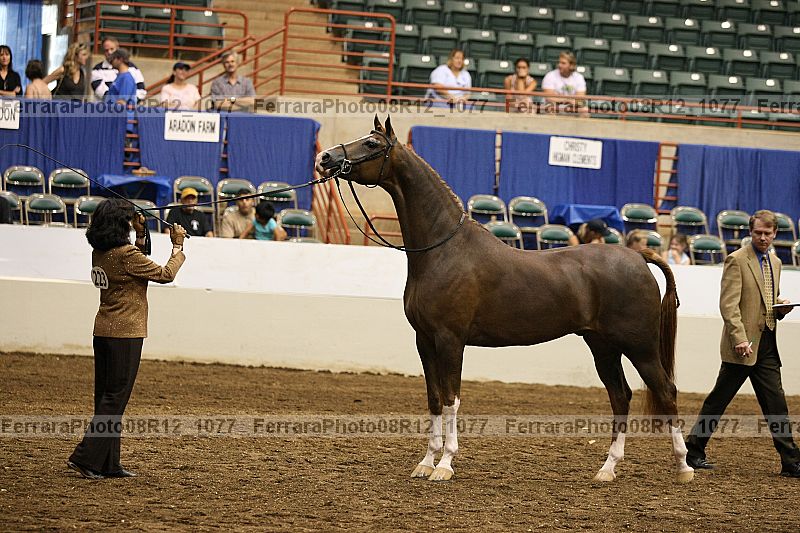 Proof 08r12_1077