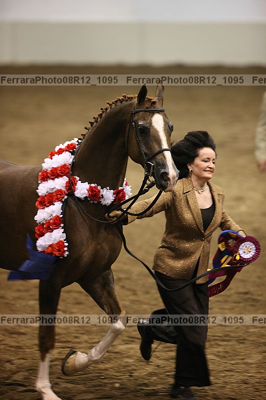 Proof 08r12_1095
