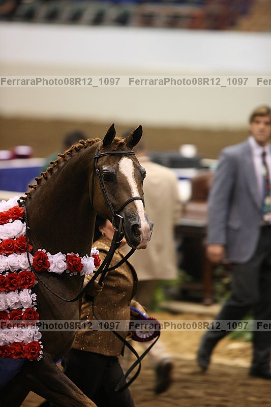 Proof 08r12_1097