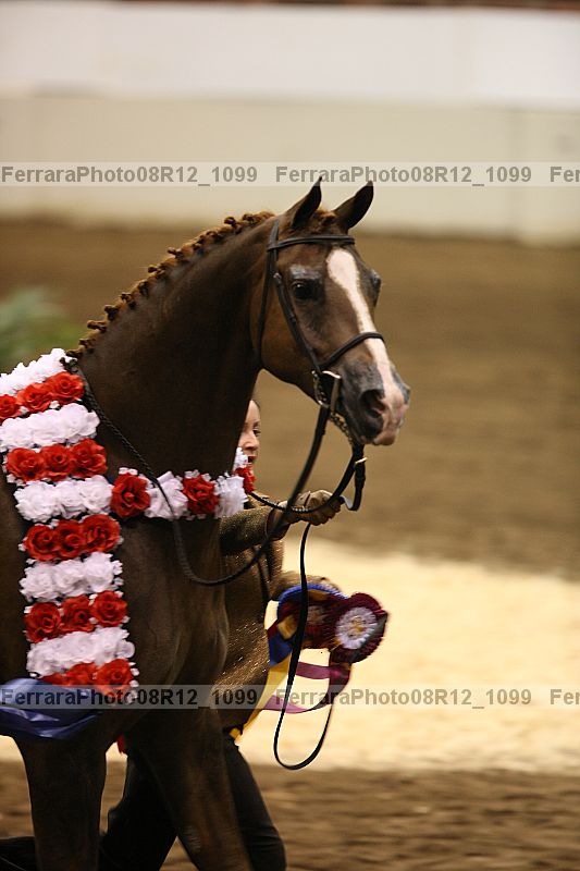Proof 08r12_1099