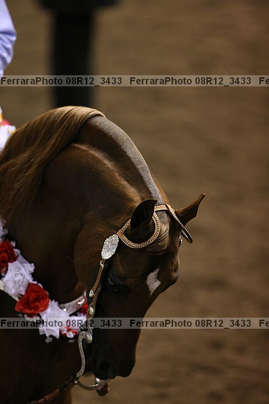 Proof 08r12_3433