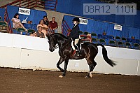08r12_1101 proof