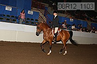 08r12_1103 proof