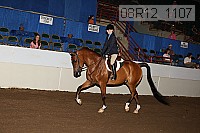 08r12_1107 proof