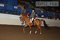 08r12_1108 proof