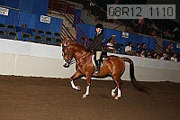 08r12_1110 proof