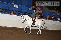 08r12_1114 proof